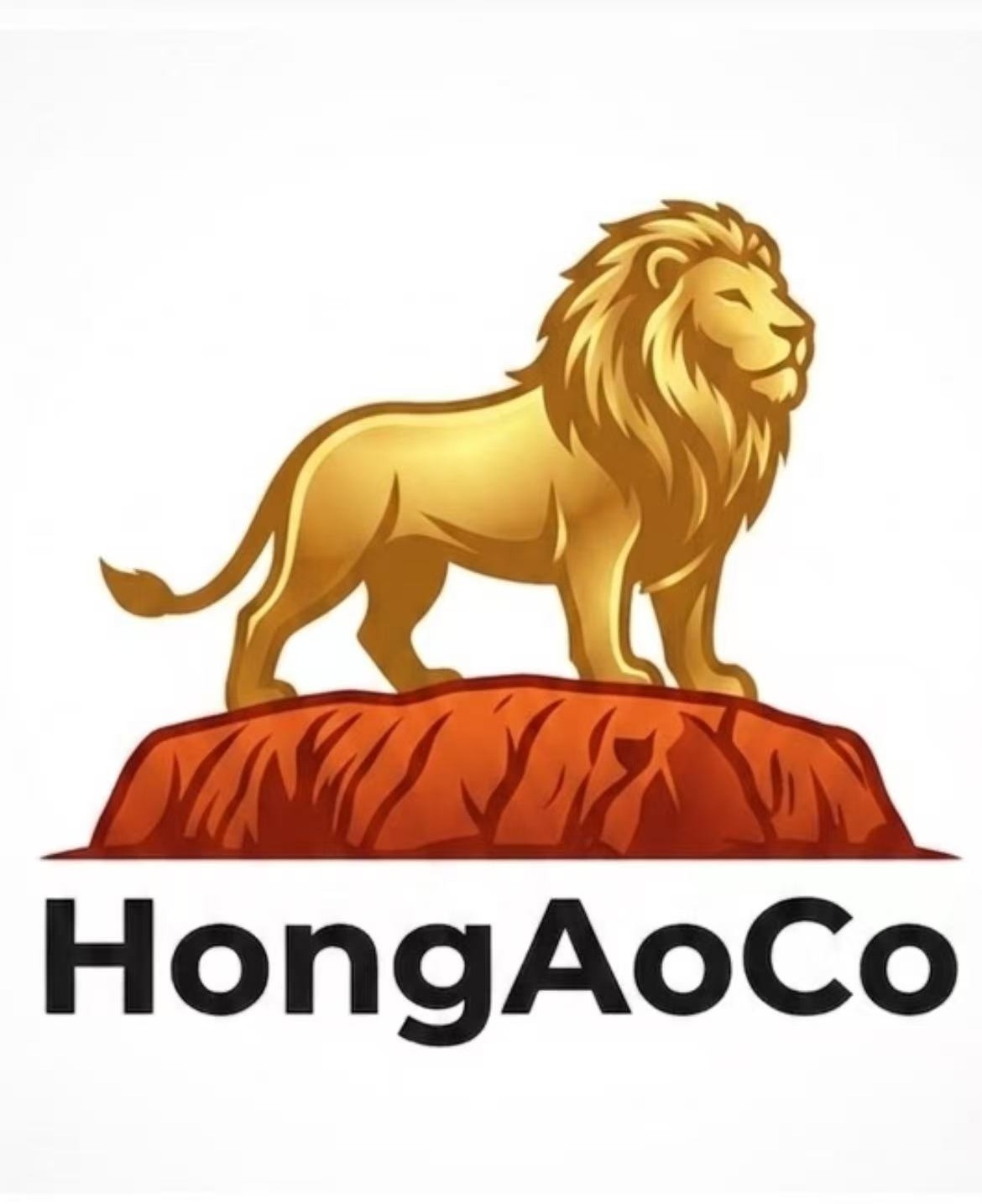 HongAoCo logo